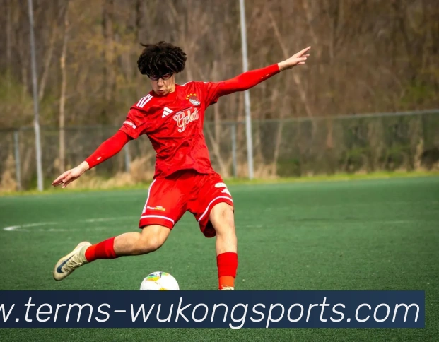 悟空体育APP 体育赛事宣传图